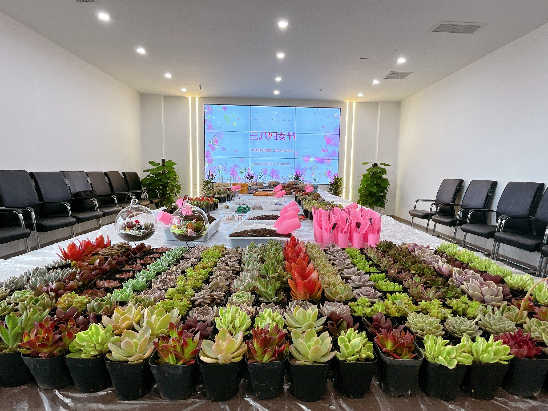 1678345814193413.jpg 微信圖片_20230308140854.jpg